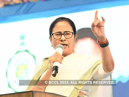 Cooking gas cylinder price to reach Rs 2,000 if BJP returns to power: Mamata Banerjee