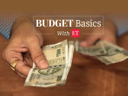 Budget Basics: What does the govt spend on? The politics and economy of expenditure