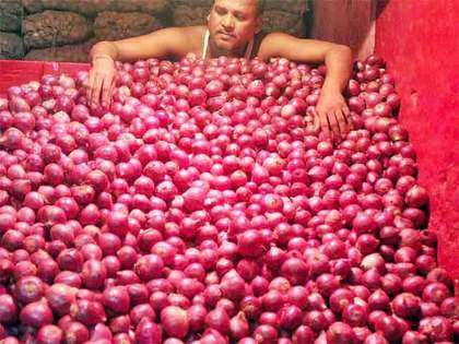 Onion prices remain stable at Lasalgaon after correcting on Tuesday
