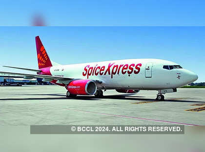 SpiceJet to utilise QIP proceeds to stabilise its 'financial health'