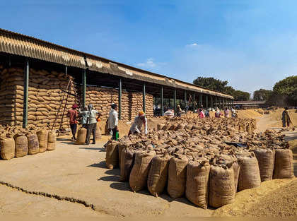 40 lakh tonnes of rice on the move in Punjab: What's govt trying to fix?