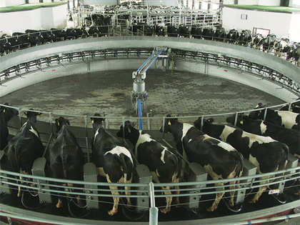 EU to end milk quota system: India's exports to take a hit as dairy supply to rise