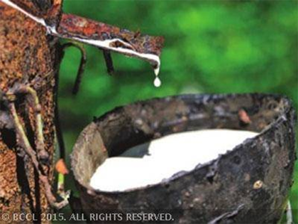 Natural Rubber supply will be short of demand from 2020, says ANRPC secretary general