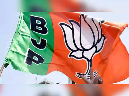 Chhattisgarh cabinet expansion: Nine BJP MLAs sworn in as ministers