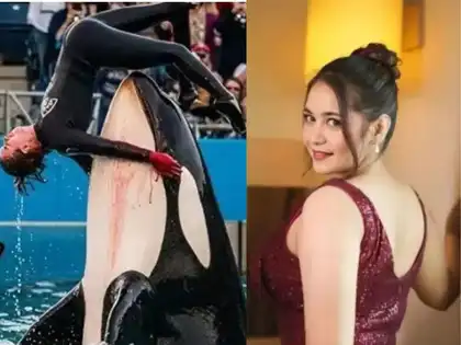 Jessica Radcliffe Orca Incident: The real story behind the disturbing viral  video is more shocking and scary - The Economic Times