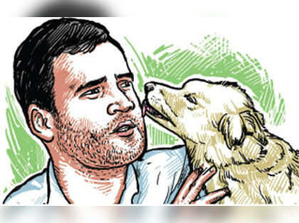 Rahul Gandhi’s night out with dogs turns out to be vote puller