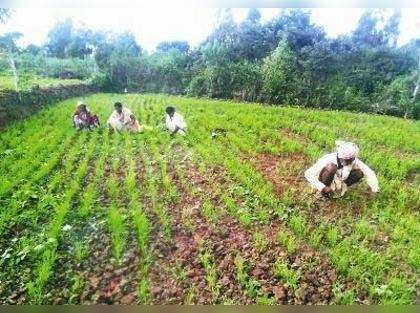 Banks to be asked to give farm loans: Government