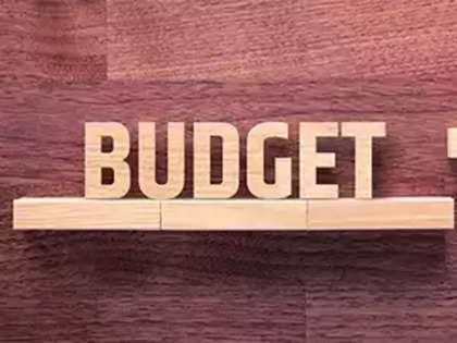 Budget 2024 & EC Code of Conduct: Understanding budget in election year - A comprehensive guide