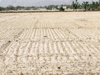 Area under kharif crops crosses 100 million hectare