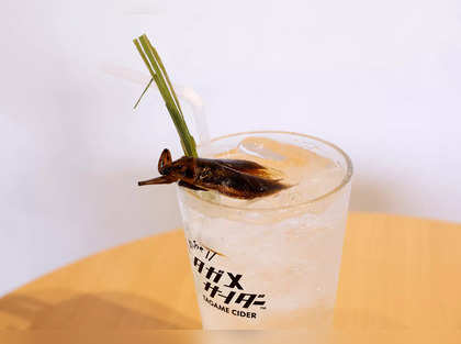 Insect cuisine returns to Japan: Silkworm sashimi, cricket curry & soy-sauce grasshoppers on menu of upscale eateries