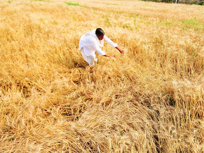 Low rainfall threatens farm output, food prices likely to rise