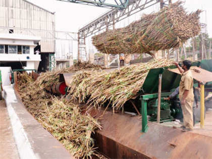 Banks disburse Rs 6,420 crore to 443 sugar mills for cane payment