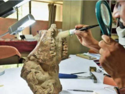 2.6-million-yr-old `priceless' fossil on sale for just Rs 4500