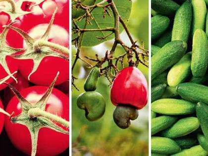 How Karnataka's horticulture department is turning the farmer into an entrepreneur