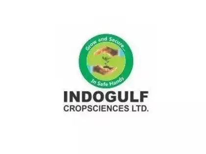Indogulf Cropsciences IPO subscribed 94% on Day 2; GMP slips to 7%