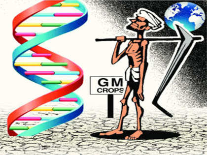 Talks of ban on GM crop trials is disappointing: Biotech companies