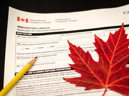 Canada Express Entry Draw Targets 3,343 Canadian Experience Class  Candidates - Canada Immigration and Visa Information. Canadian Immigration  Services and Free Online Evaluation.