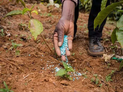 Increased use of nano-urea has reduced 25 lakh tonnes of traditional urea: Fertilizer Minister
