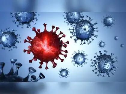Covid new variant: Covid XEC variant symptoms, effect: What we know about  Coronavirus' new variant - The Economic Times