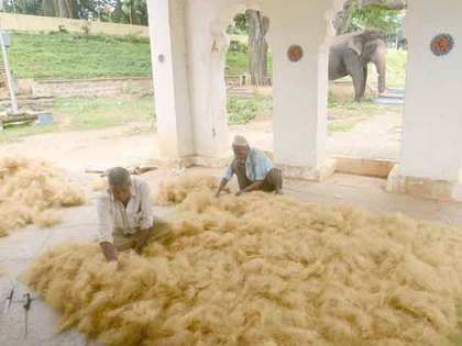 Textile ministry pushes to lift Bangladesh govt's raw jute export ban