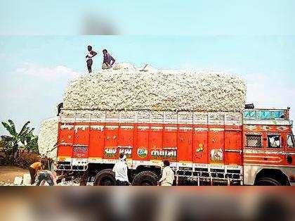 CAI maintains cotton crop estimate at 311.18 lakh bales for 2022-23 season
