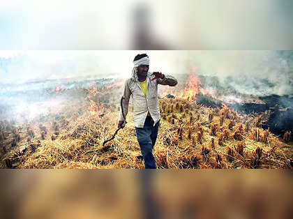 In SC, Punjab blames centre; Haryana lists rewards, fines to curb farm fires