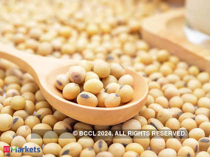 Soyabean imports revised downwards to 3.50 lakh tons for 2021-22: SOPA