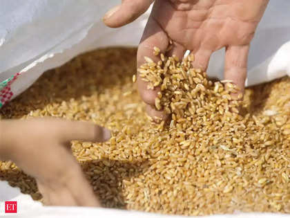 War-strained wheat market faces moment of truth