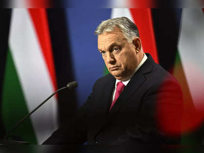 In unusual move, China offers to back Hungary in security matters