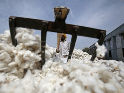 India's y-o-y cotton exports to fall by 31% in 2018-19, says CAI