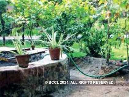 Bengaluru Mahanagara Palike preaches rainwater harvesting but won’t practise it