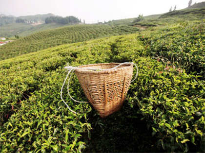 Assam Assembly Speaker warns of 'bad days' if ration for tea gardens stopped