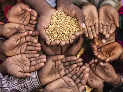 Government to distribute free 5 kg foodgrain to poor in May, June - The Economic Times