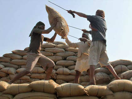 World rice price index jumps to near 12-year high in July: FAO