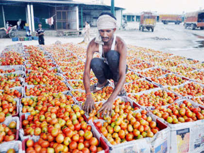 Tomato prices remain high at Rs 80/kg in NCR
