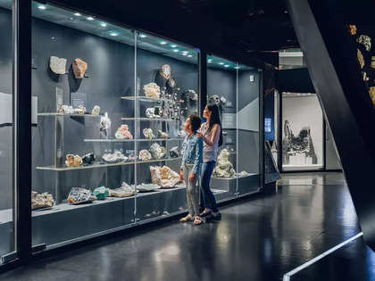 Melbourne calling: Decoding how a trip to the Melbourne Museum will be a highlight of your vacation