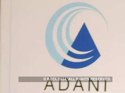 Adani Group joint venture in talks for 1st offshore loan since Hindenburg |  Company News - Business Standard