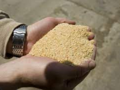 Soymeal exports decline by 73% in July