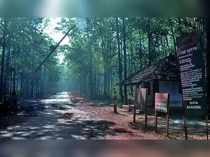 Supreme Court directs Jharkhand to notify 126 compartments as Saranda  wildlife sanctuary - The Economic Times