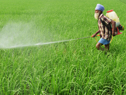 Insecticides India plans Rs 30 cr investment on Dahej plant