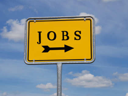 Net employment would improve for 2013, though Q1 will be sluggish: Report