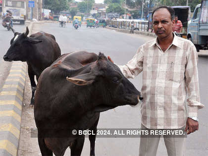 Govt all ears to suggestions on cattle slaughter ban: Minister