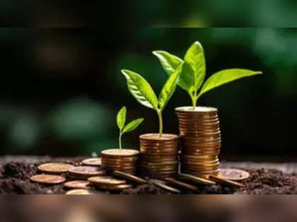 3 out of 4 mid and smallcap mutual funds underperformed in 2023: Report