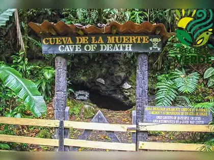Tourist deaths in costa rica 2024 | WillowStreeHouseTreasures.com