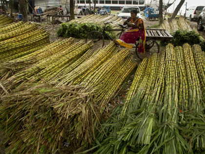 India sets record farm output target for 2018-19