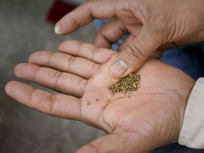 India consumption survey Indians spent more on paan tobacco in