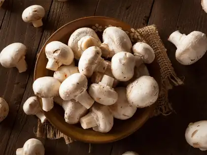 Image for Mushroom 