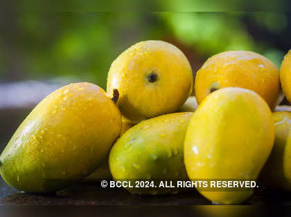 View: Global warming and monsoons have affected mango-production