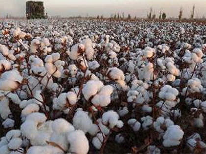 Weak export, high cotton prices to dent spinners' profitability