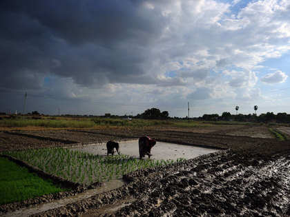 Government unveils Kisan project; hailstorm app to assess crop damage